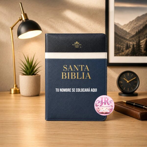 Biblia Gris Con Negro  Letra 11 Puntos RV1960