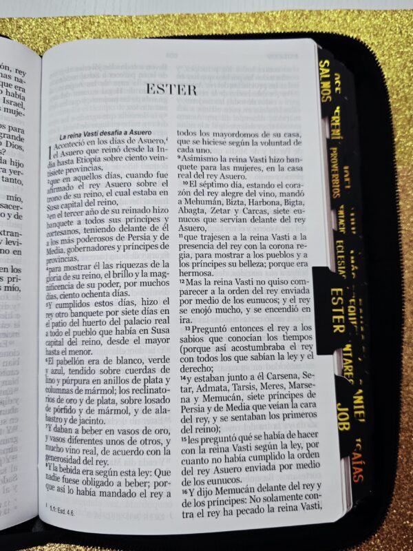 Biblia León con Cierre Letra Gigante 14 puntos RV1960