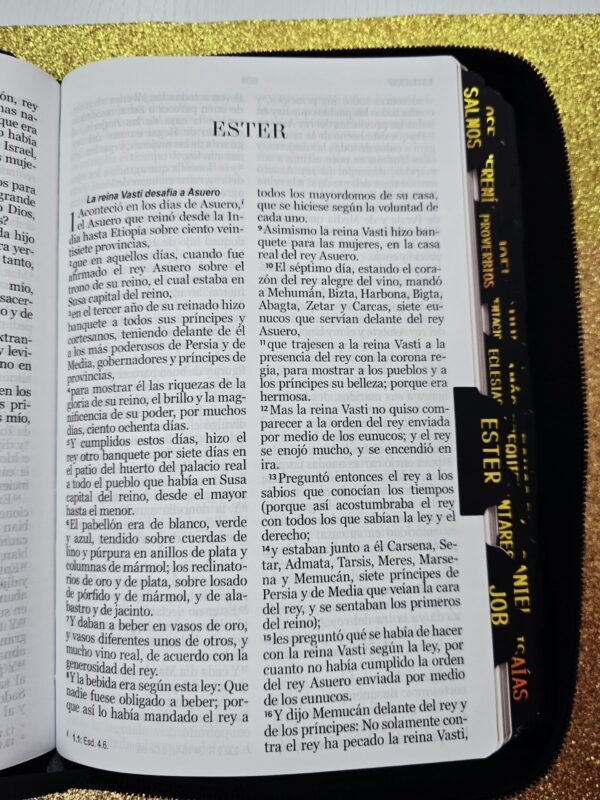 Biblia León con Cierre Letra Gigante 14 puntos RV1960