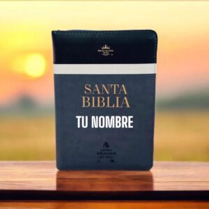 Biblia Gris Con Negro  Letra 11 Puntos RV1960