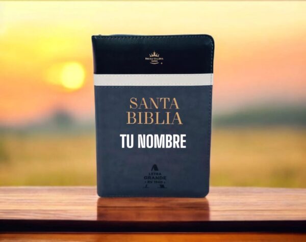 Biblia Gris Con Negro  Letra 11 Puntos RV1960