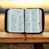 Biblia León letra grande 11 puntos RV1960