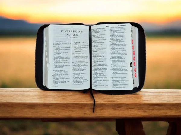 Biblia León letra grande 11 puntos RV1960