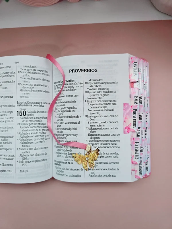 Biblia Mariposa  Letra Grande 11 Puntos RV1960