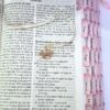 Biblia Joven y León Celeste RV1960