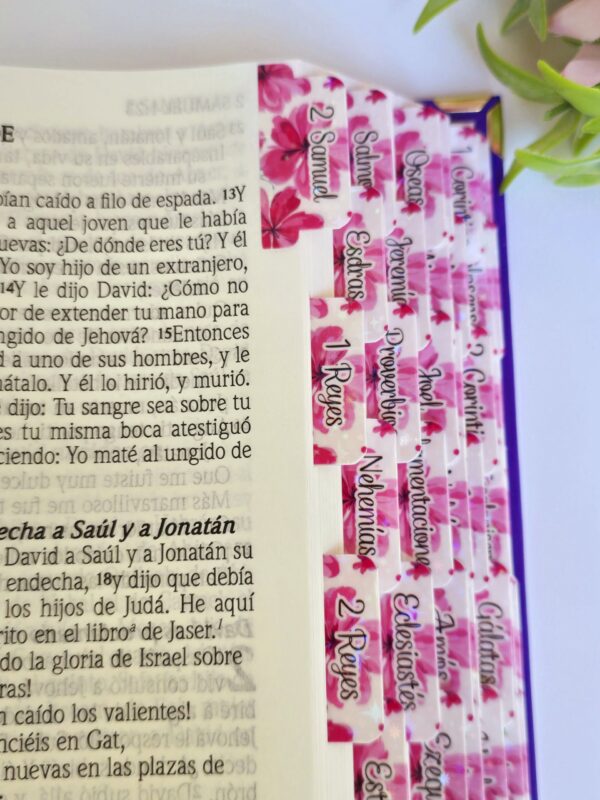 20250428_121711 BIBLIA LEÓN ROSA RV1960