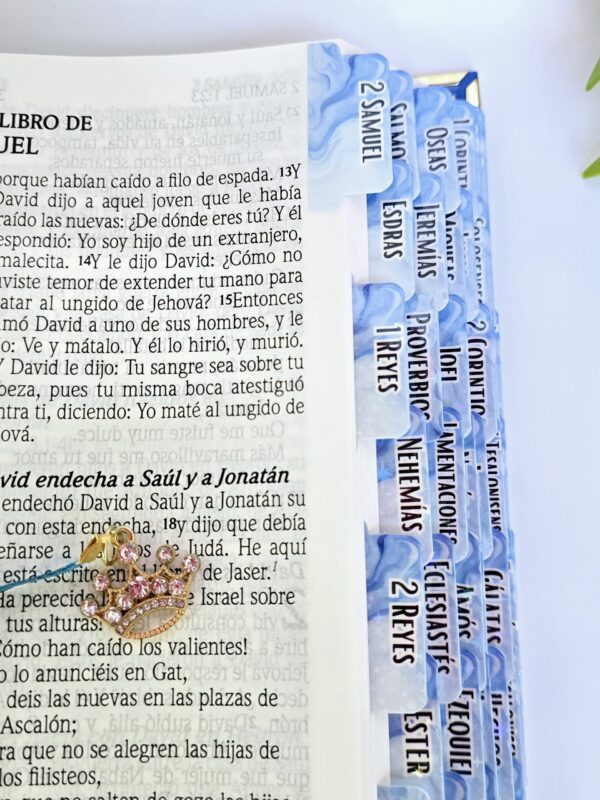 20250428_123243 BIBLIA MUJER GUERRERA Y LEÓN