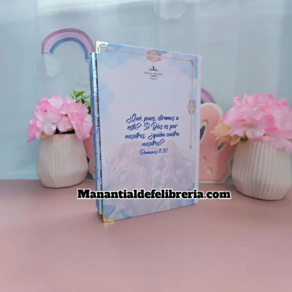 2d037d19c7351706aab72c90cc601e0c_0 BIBLIA MUJER GUERRERA Y LEÓN
