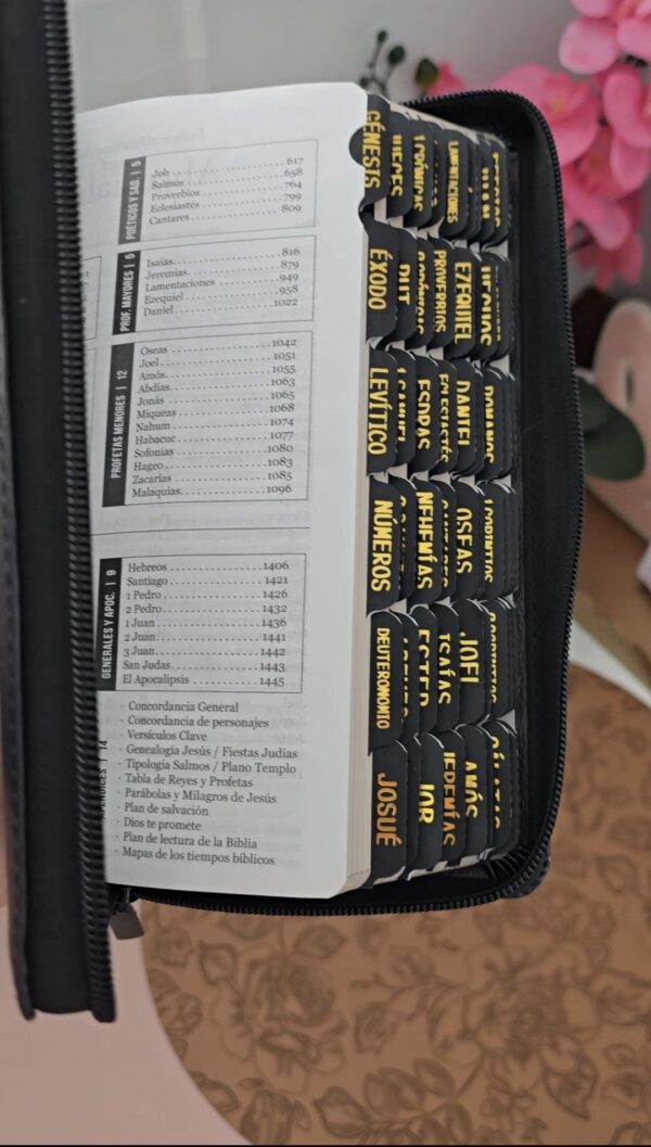 Biblia letra Grande  León Rugiendo