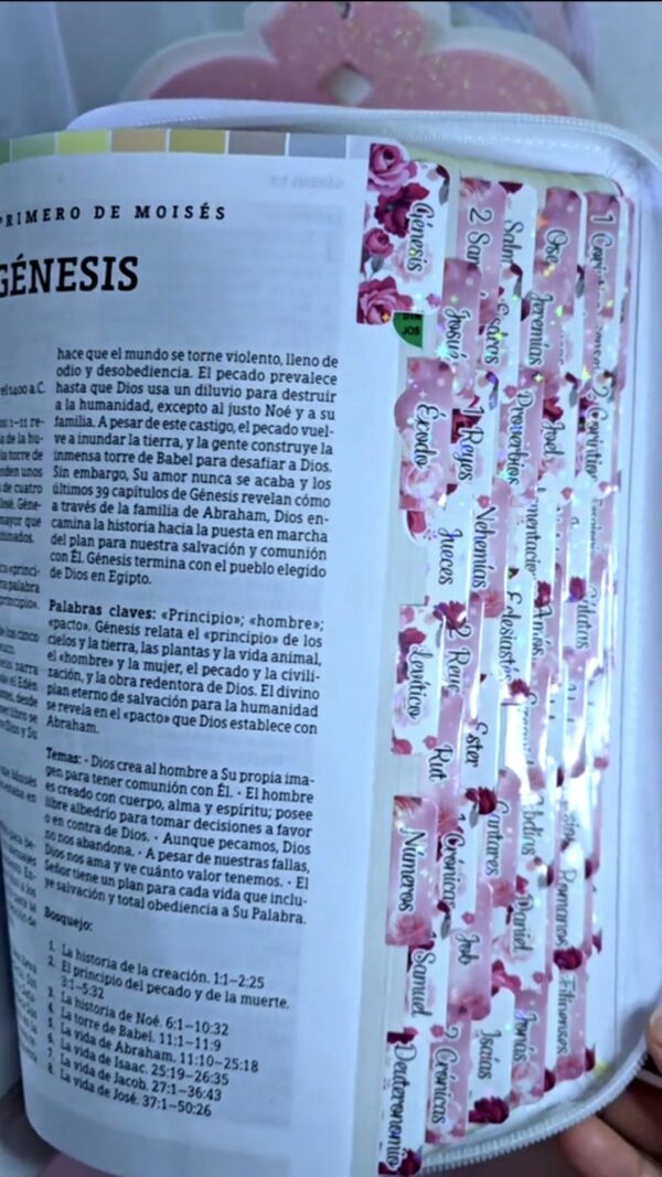 Biblia de Estudio Arcoiris Mujer Vino Floral