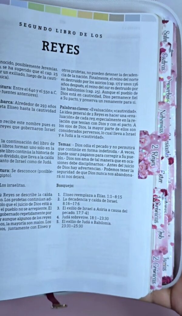Biblia de Estudio Arcoiris Mujer Vino Floral