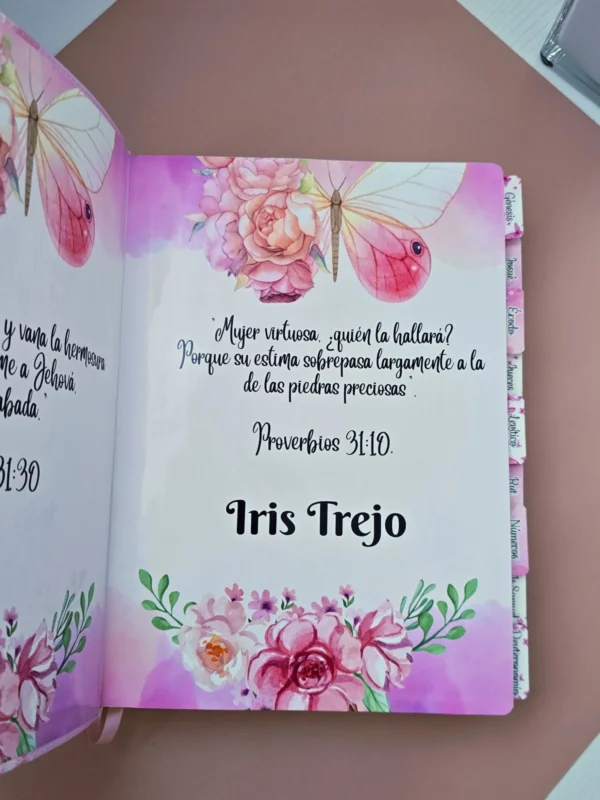 Biblia RVR 1960 Letra Súper Gigante  Rosa Claro