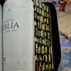 Biblia León con Cierre Letra Gigante 14 puntos RV1960