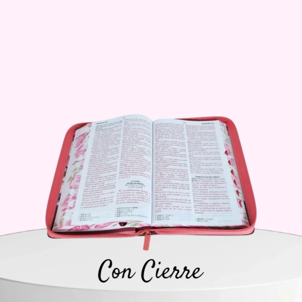Biblia Letra Grande 12 puntos RV1960  Yo y mi casa