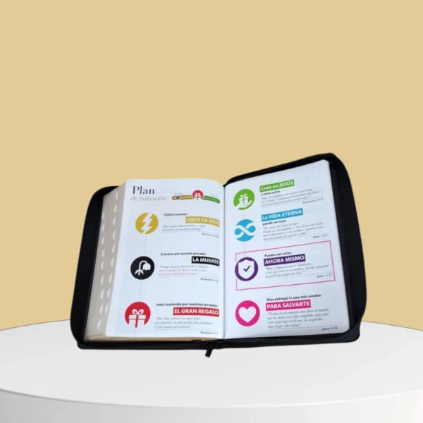 Biblia letra Gigante 19 Puntos leon Y Cordero