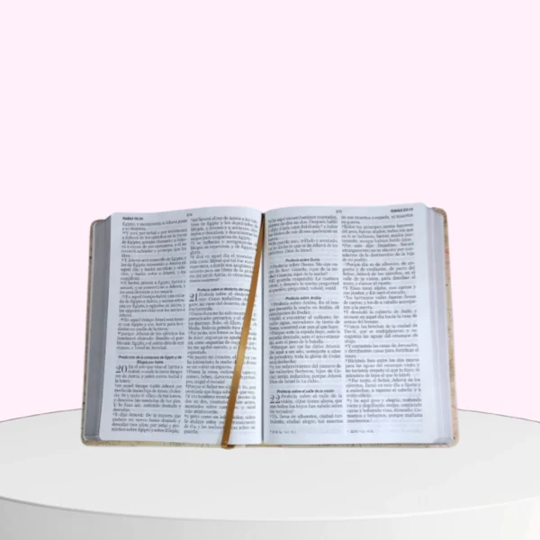 Screenshot_20250525_120603_Chrome (1) Biblia Sabiduría Letra Gigante 15 Puntos RV1960