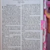 Biblia RVR 1960 Letra Súper Gigante  Rosa Claro