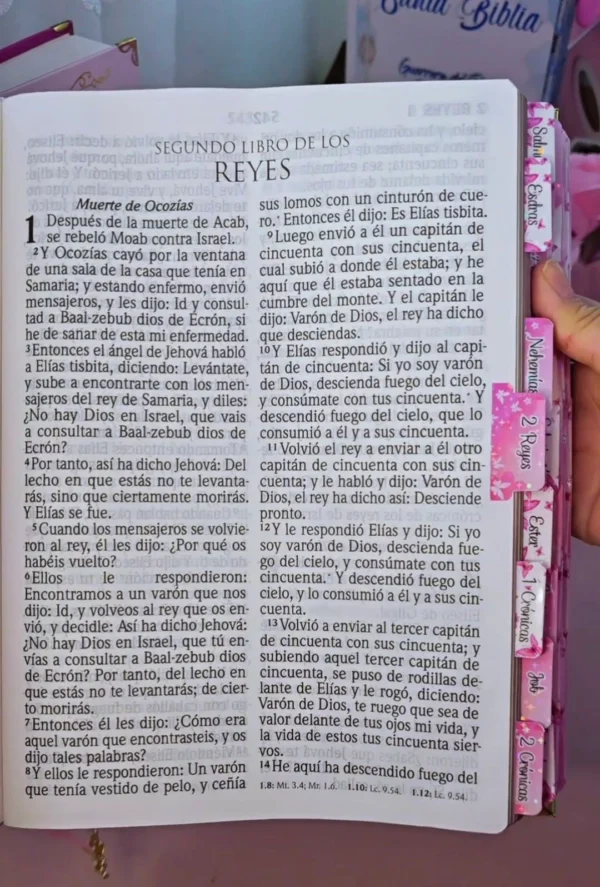 Biblia RVR 1960 Letra Súper Gigante  Rosa Claro