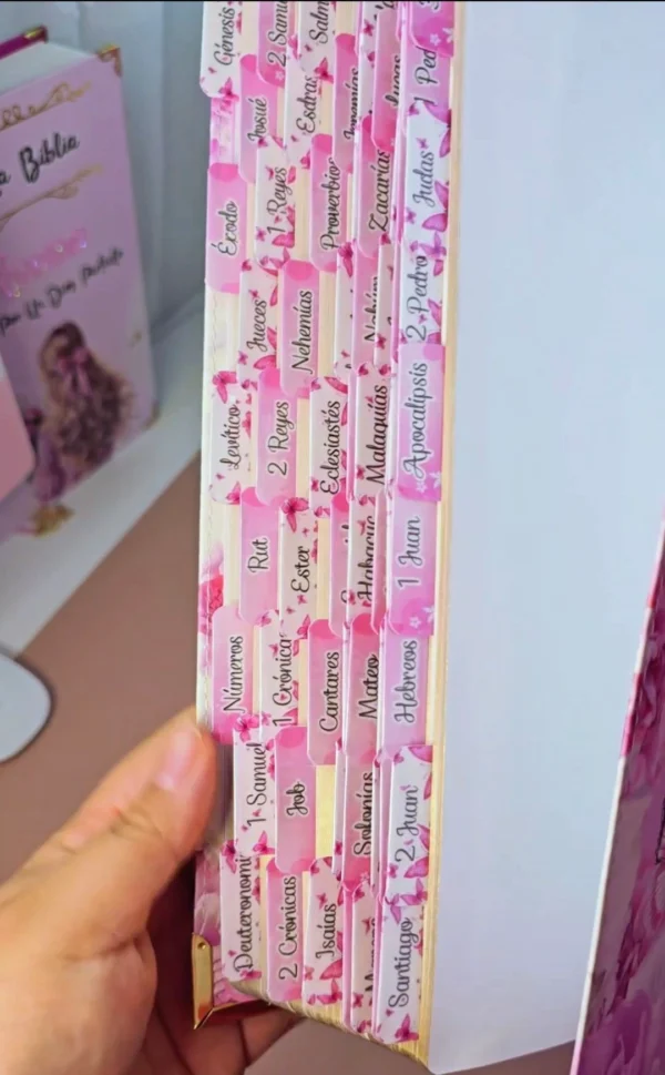 Biblia RVR 1960 Letra Súper Gigante  Rosa Claro