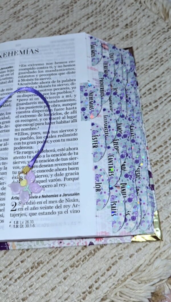 Biblia Compacta 11 puntos RV1960 imit piel con canto pintado primaveral lila oscuro