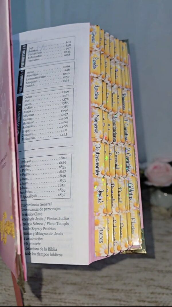 Biblia Letra Súper Gigante 19 puntos Mediana RV1960 imit piel rosa y canto con mensaje - Mujer Virtuosa