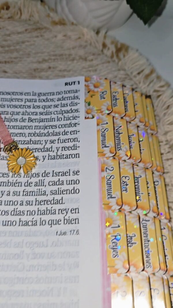 Biblia Letra Súper Gigante 19 puntos Mediana RV1960 imit piel rosa y canto con mensaje - Mujer Virtuosa