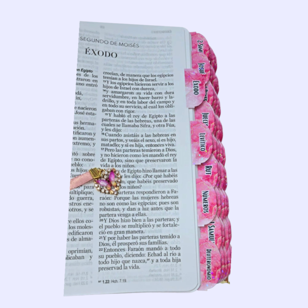 Biblia Letra Grande 12 puntos para Mujer RV1960 imit piel primavera floral rosa con índice