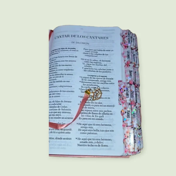 Biblia Floral Rosa RV1960 Letra Grande 12 Puntos