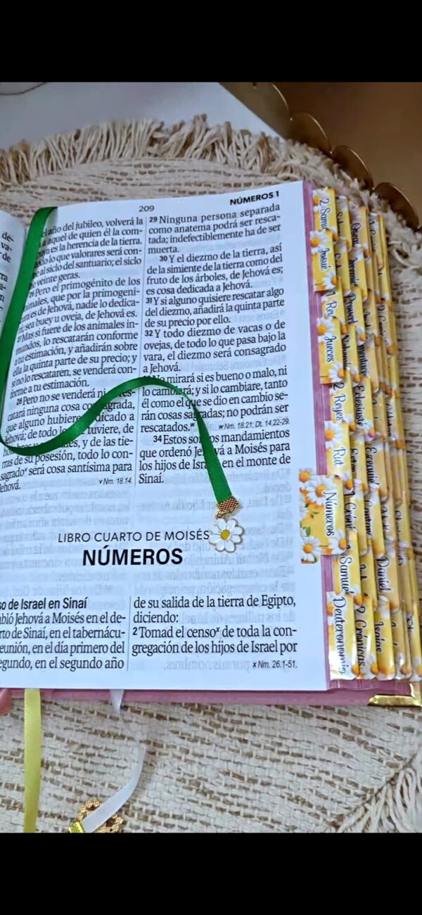 Biblia Letra Súper Gigante 19 puntos Mediana RV1960 imit piel rosa y canto con mensaje - Mujer Virtuosa