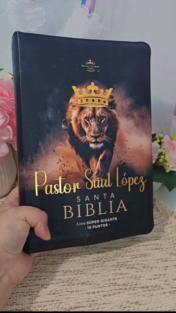 Biblia Letra Súper Gigante 19 puntos Mediana RV1960 imit piel negro león y canto con mensaje