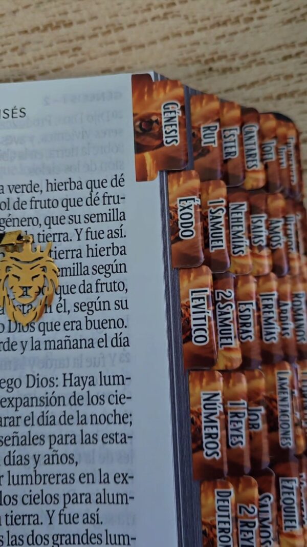 Biblia Letra Súper Gigante 19 puntos Mediana RV1960 imit piel negro león y canto con mensaje