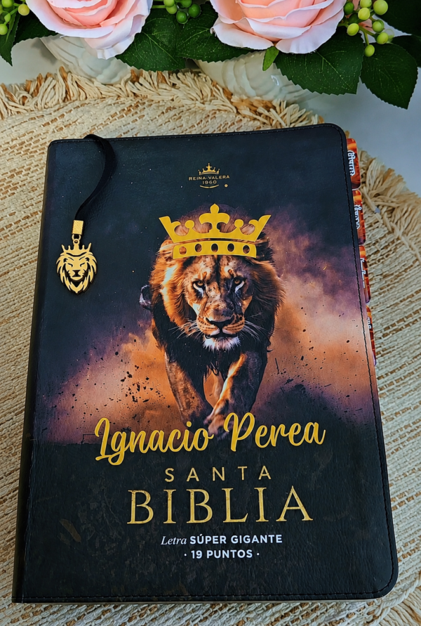 Biblia Letra Súper Gigante 19 puntos Mediana RV1960 imit piel negro león y canto con mensaje
