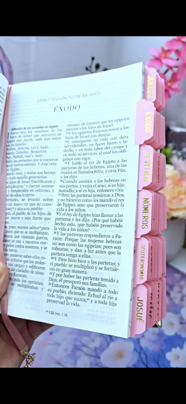 Biblia Blanco y Rosa Letra Grande 12 puntos RV1960