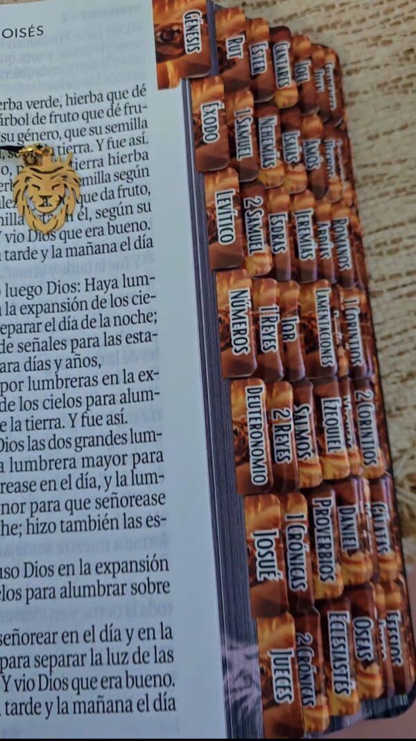 Biblia Letra Súper Gigante 19 puntos Mediana RV1960 imit piel negro león y canto con mensaje