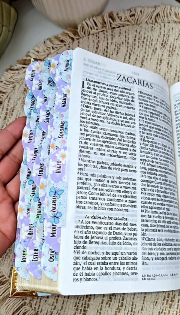 Biblia RVR 1960 Letra Grande Tamaño Manual Símil Piel Azul Claro