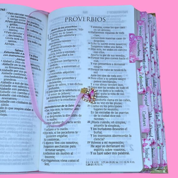 BIBLIA ROSA CON MARIPOSAS RV1960