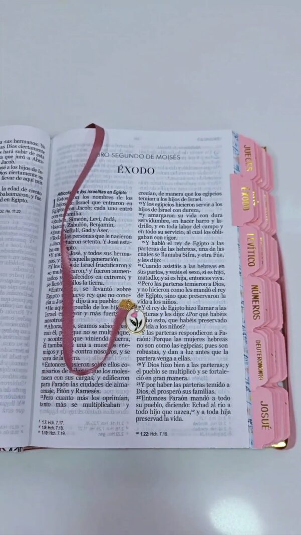 Biblia Letra Grande 12 puntos para Mujer RV1960, tapa dura primavera blanca con elástico
