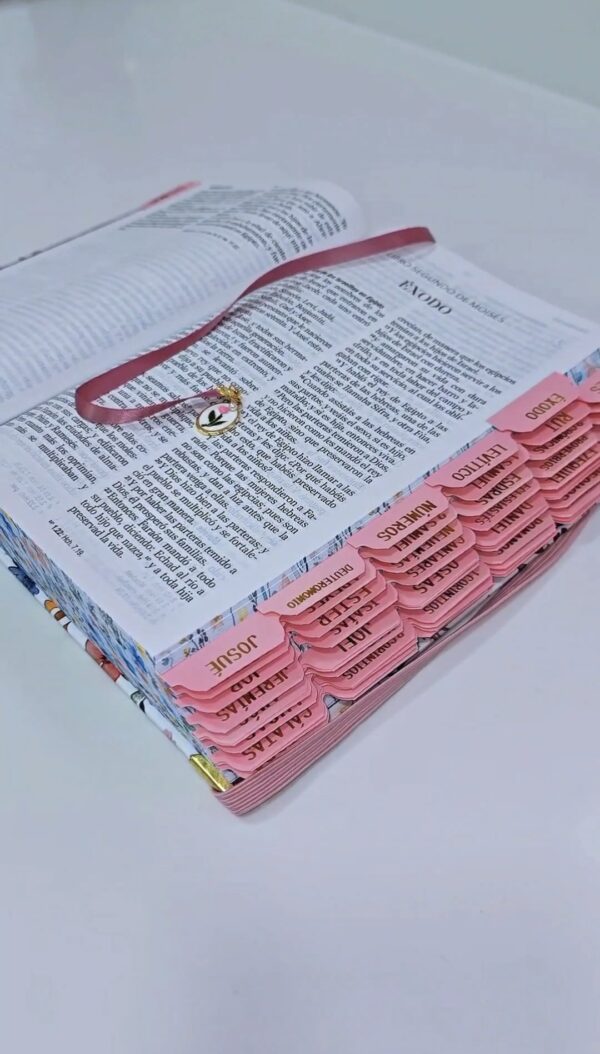 Biblia Letra Grande 12 puntos para Mujer RV1960, tapa dura primavera blanca con elástico