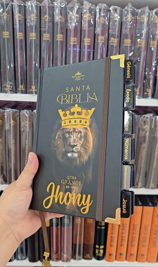 Biblia Letra Grande 12 puntos RV1960, tapa dura con elástico - León de Judá