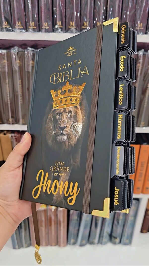 Biblia Letra Grande 12 puntos RV1960, tapa dura con elástico - León de Judá