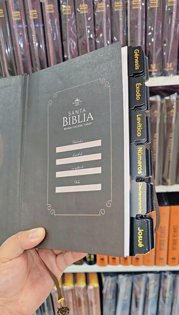 Biblia Letra Grande 12 puntos RV1960, tapa dura con elástico - León de Judá
