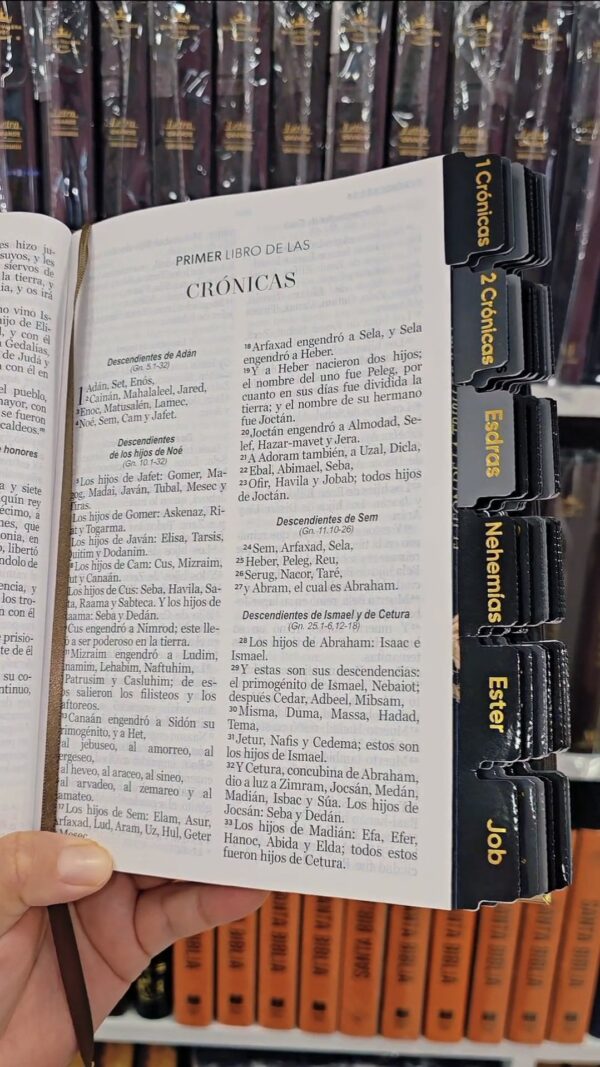 Biblia Letra Grande 12 puntos RV1960, tapa dura con elástico - León de Judá