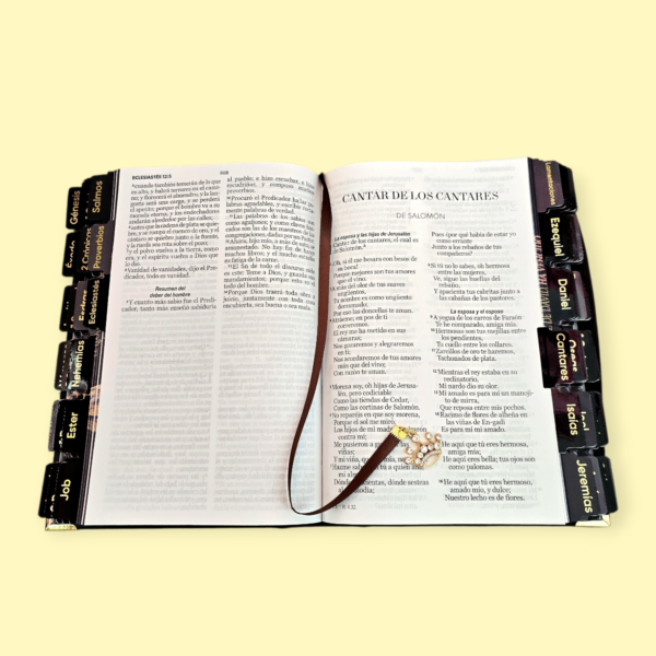 2026012313554648 (1) Biblia Letra Grande 12 puntos RV1960, tapa dura con elástico - León de Judá