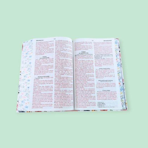 Screenshot_20260121_231933_Chrome (20) Biblia Letra Grande 12 puntos para Mujer RV1960, tapa dura primavera blanca con elástico