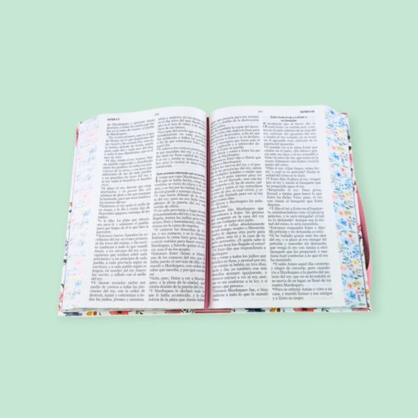 Screenshot_20260121_231933_Chrome (21) Biblia Letra Grande 12 puntos para Mujer RV1960, tapa dura primavera blanca con elástico