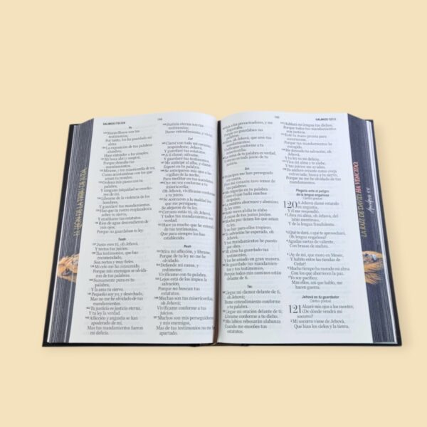 Screenshot_20260121_231933_Chrome (3) Biblia Letra Grande 12 puntos RV1960, tapa dura con elástico - León de Judá