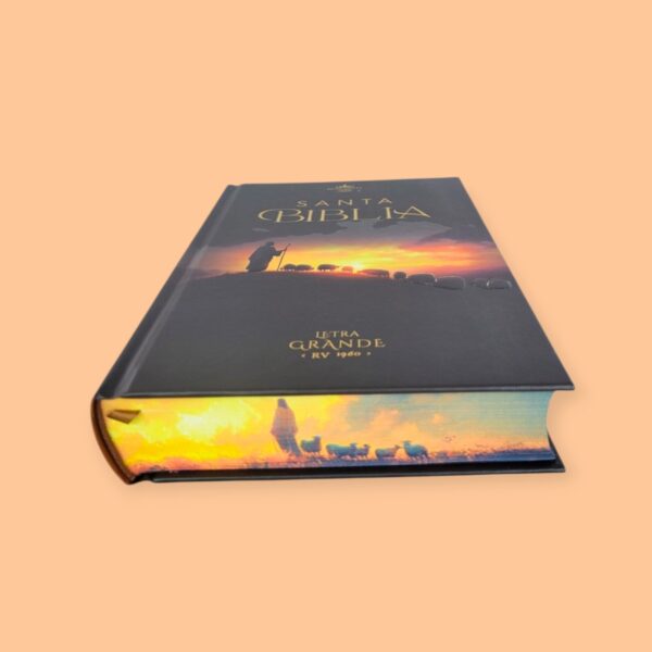 Screenshot_20260121_231933_Chrome (7) Biblia Letra Grande 12 puntos RV1960, tapa dura pastor y ovejas con elástico