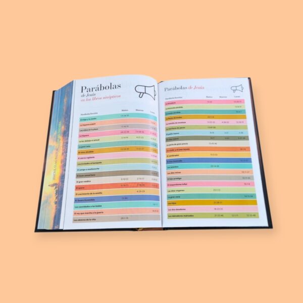 Screenshot_20260121_231933_Chrome (9) Biblia Letra Grande 12 puntos RV1960, tapa dura pastor y ovejas con elástico