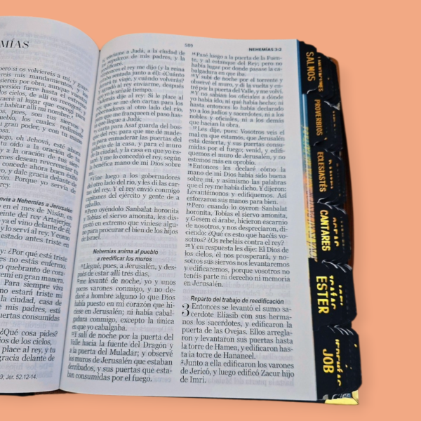 Biblia Letra Grande 12 puntos RV1960, tapa dura pastor y ovejas con elástico