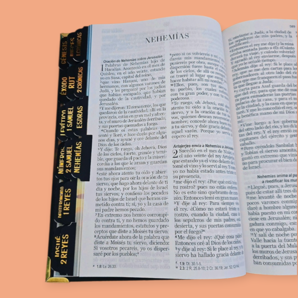 Biblia Letra Grande 12 puntos RV1960, tapa dura pastor y ovejas con elástico
